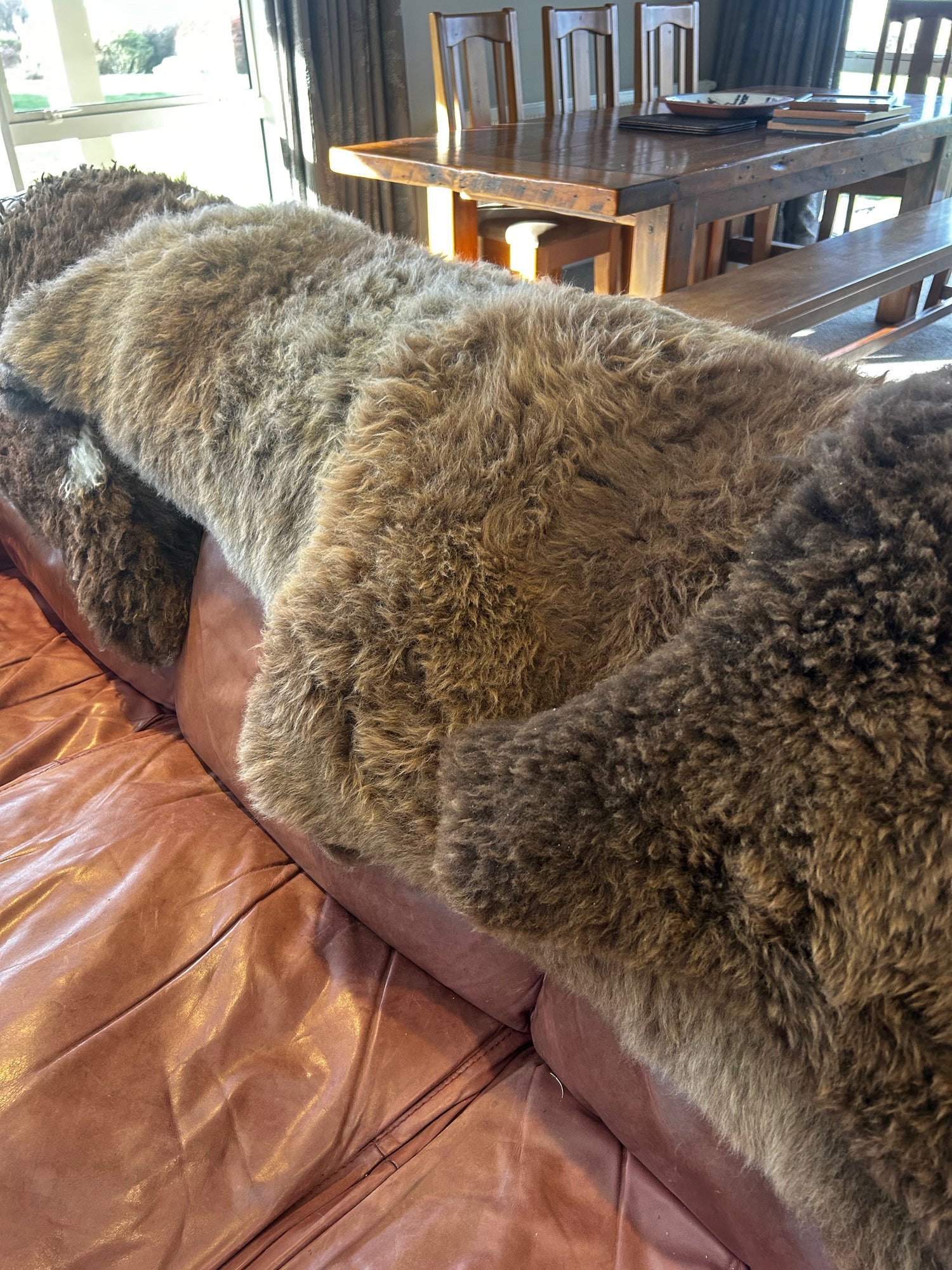 Merino sheep skins