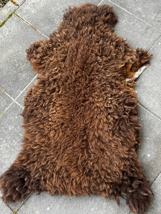 sheep skin 6