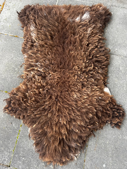 sheep skin 1