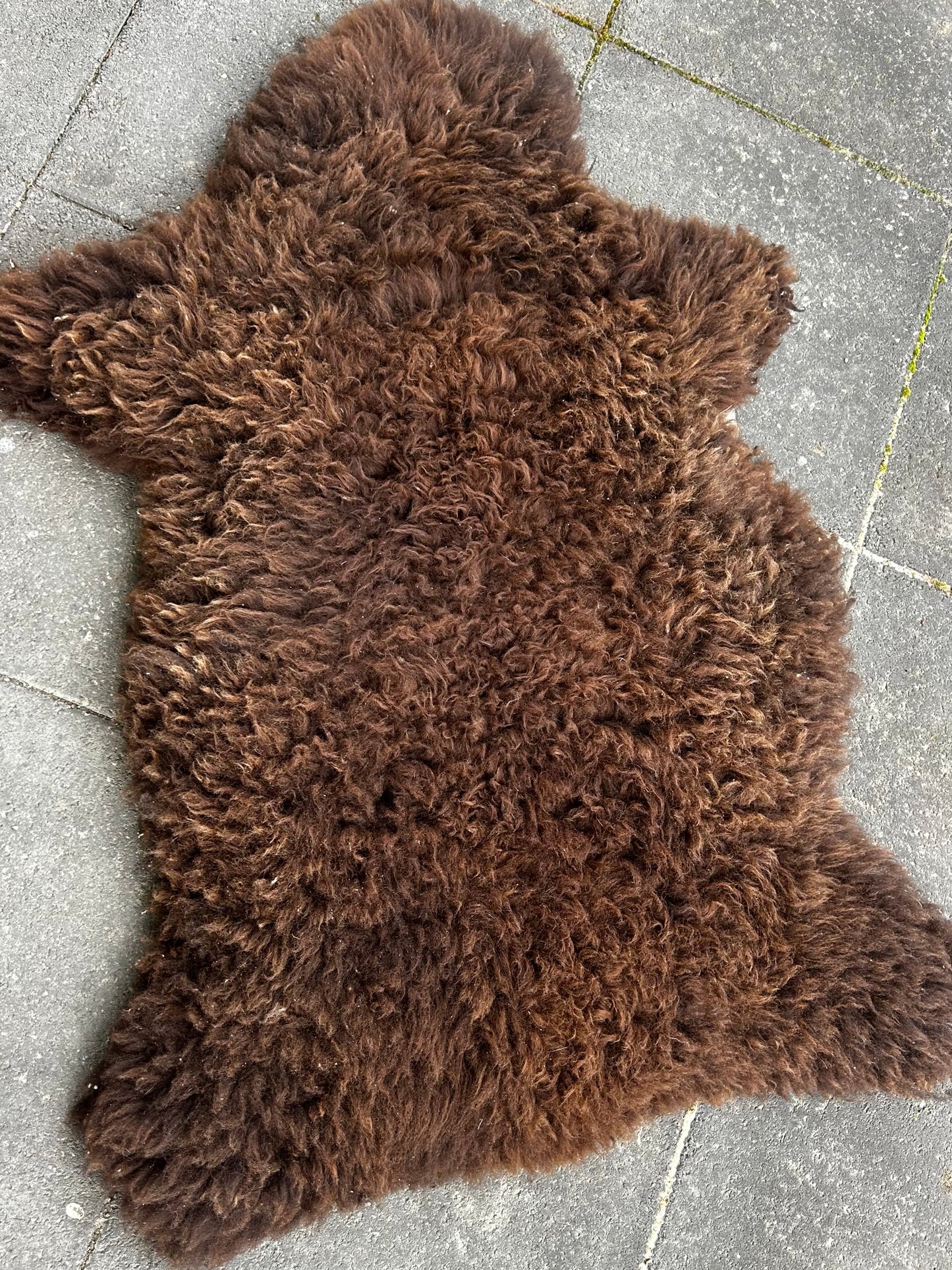sheep skin 4