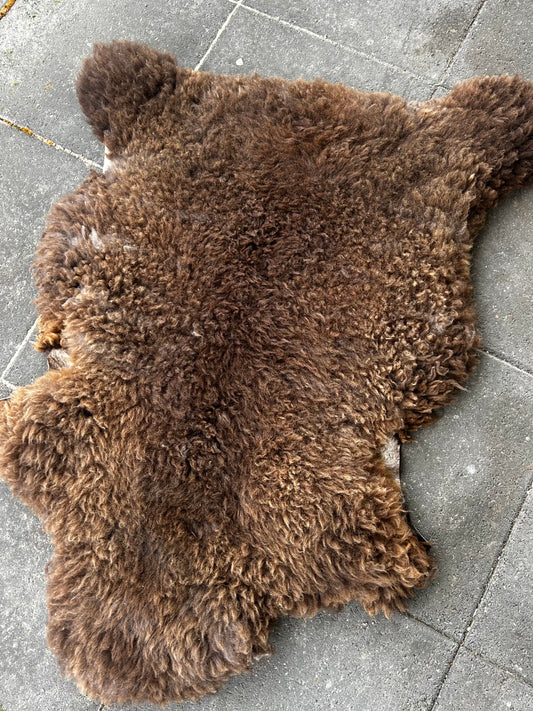 sheep skin 7