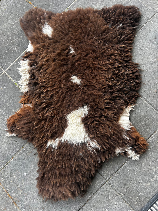 sheep skin 8
