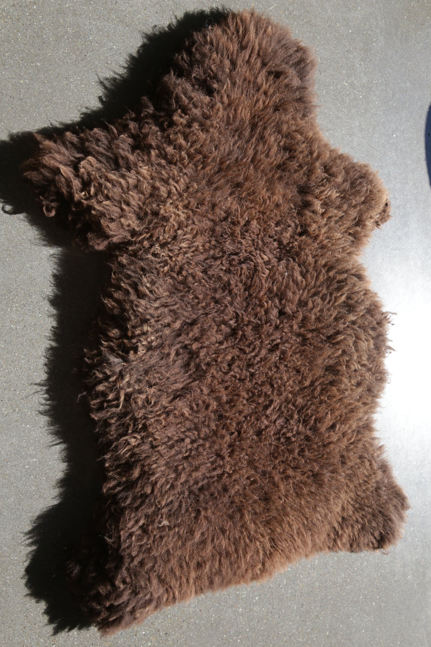 sheep skin 4